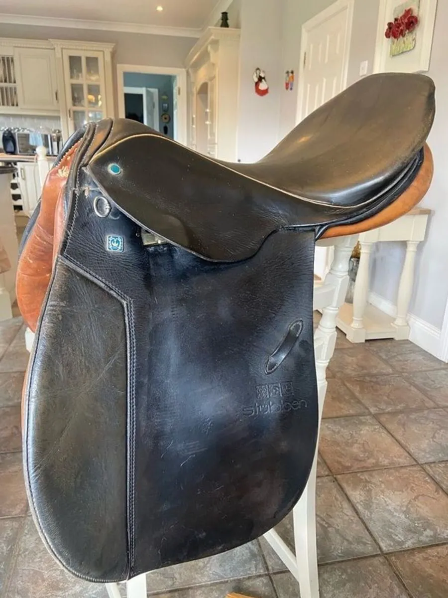 Saddle - Image 4