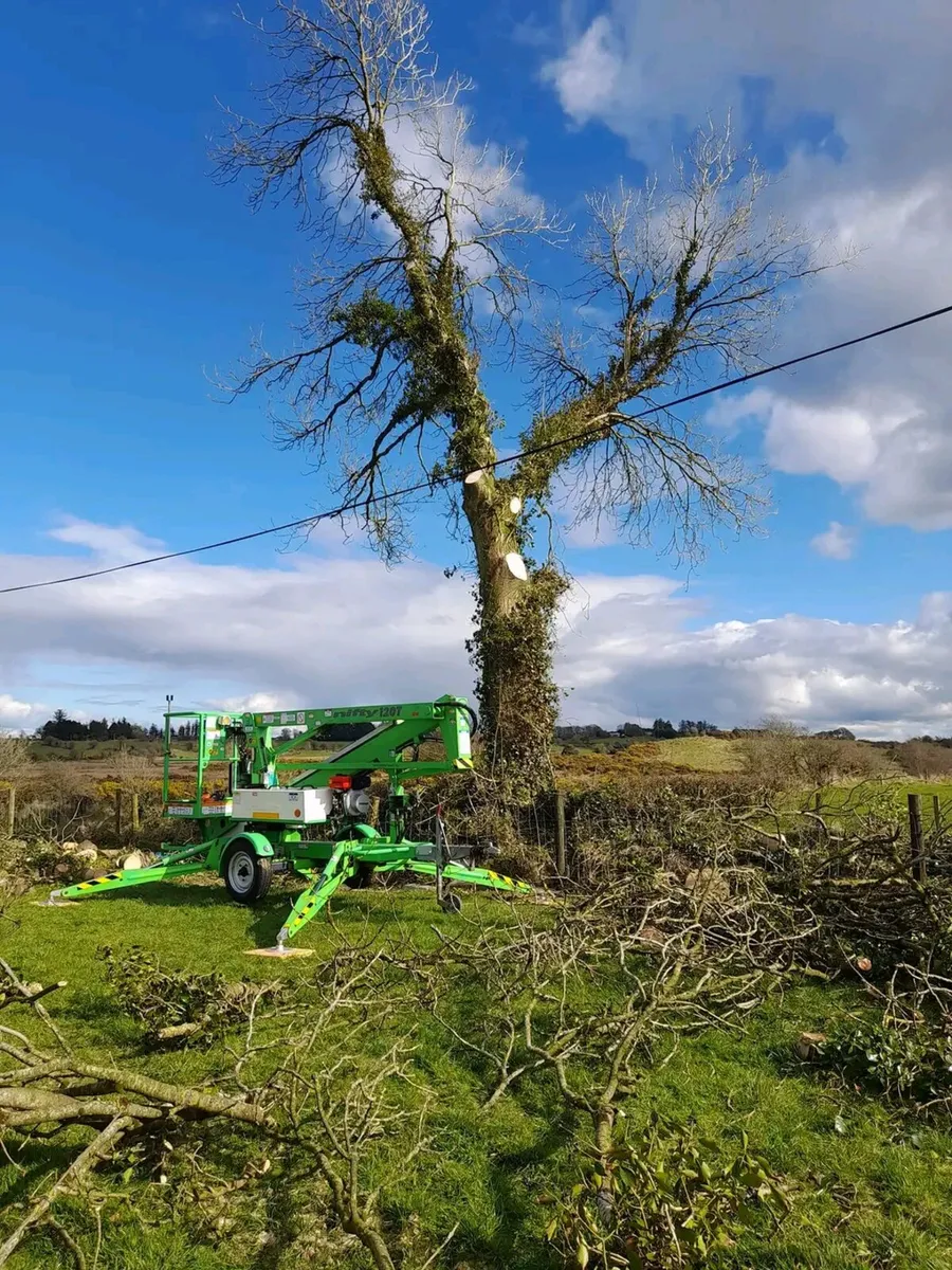 Nifty 120T - Image 1