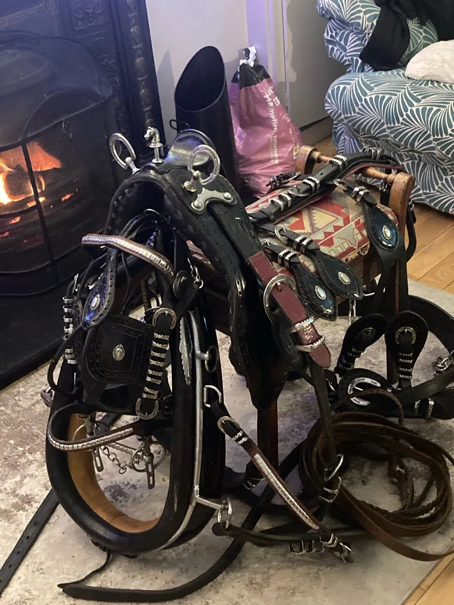 Trade harness - Image 2