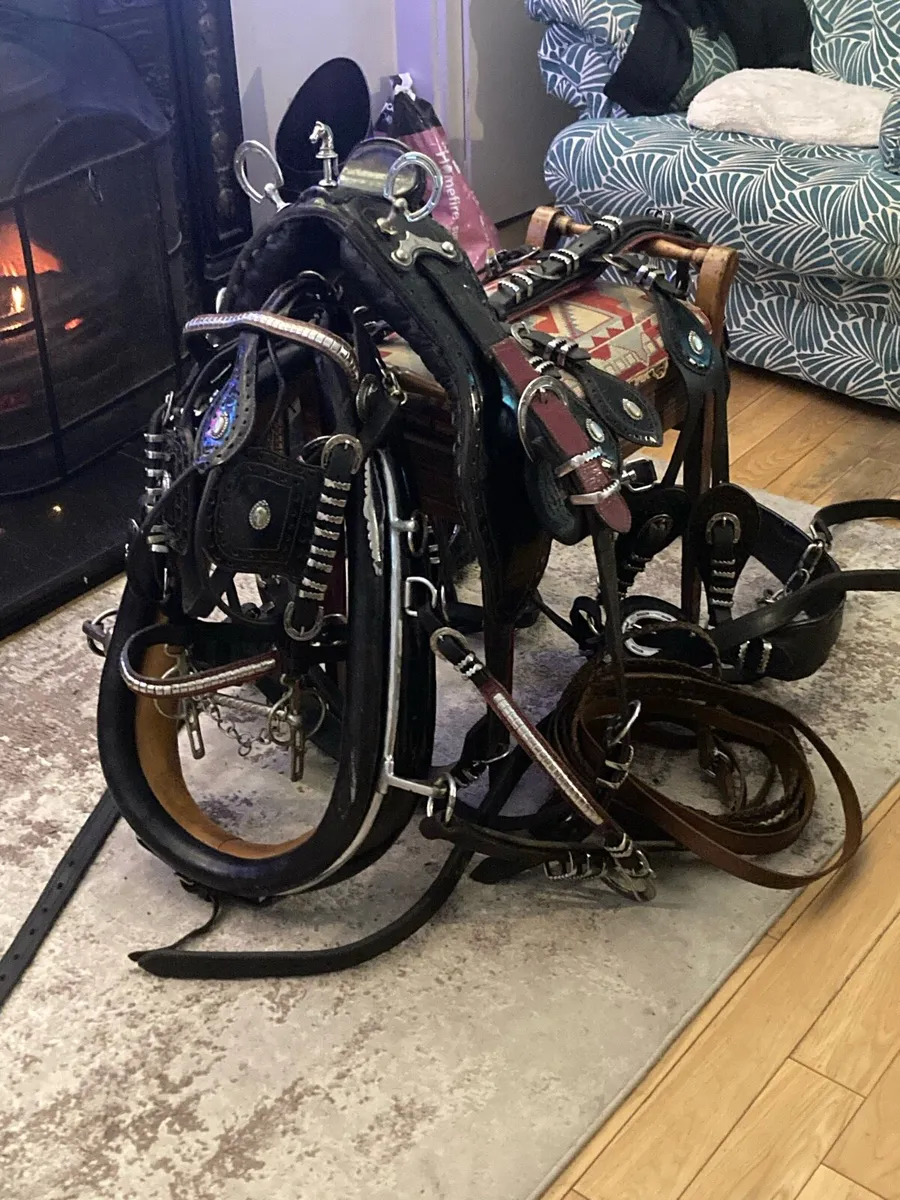 Trade harness - Image 1