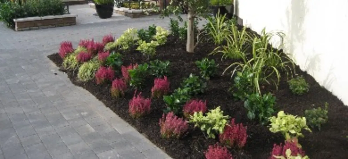 ENRICH Bulk bag of Fine Bark Mulch - Image 2