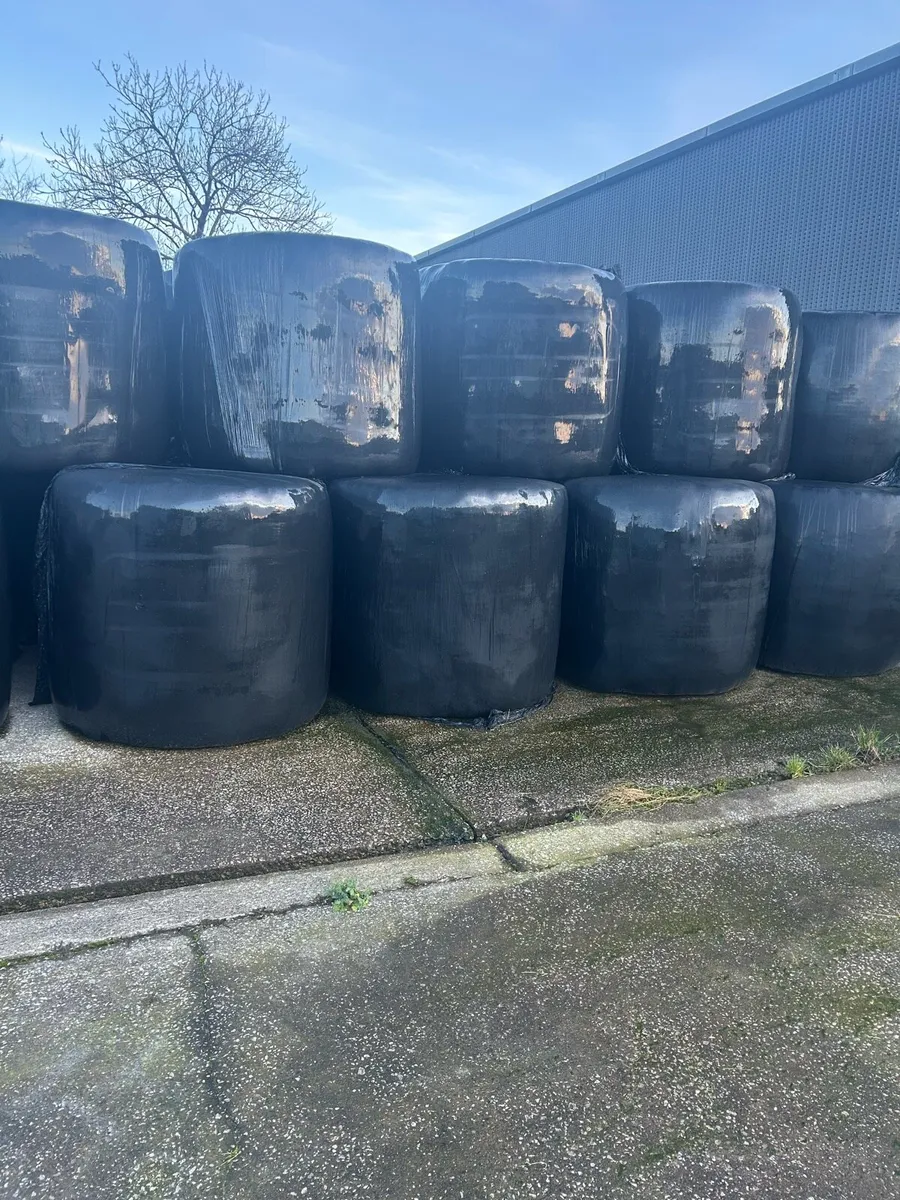 Silage bales - Image 1