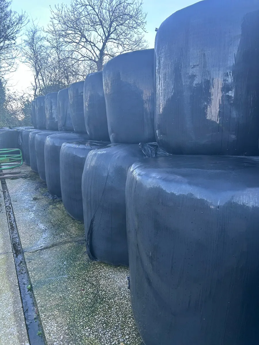 Silage bales - Image 3