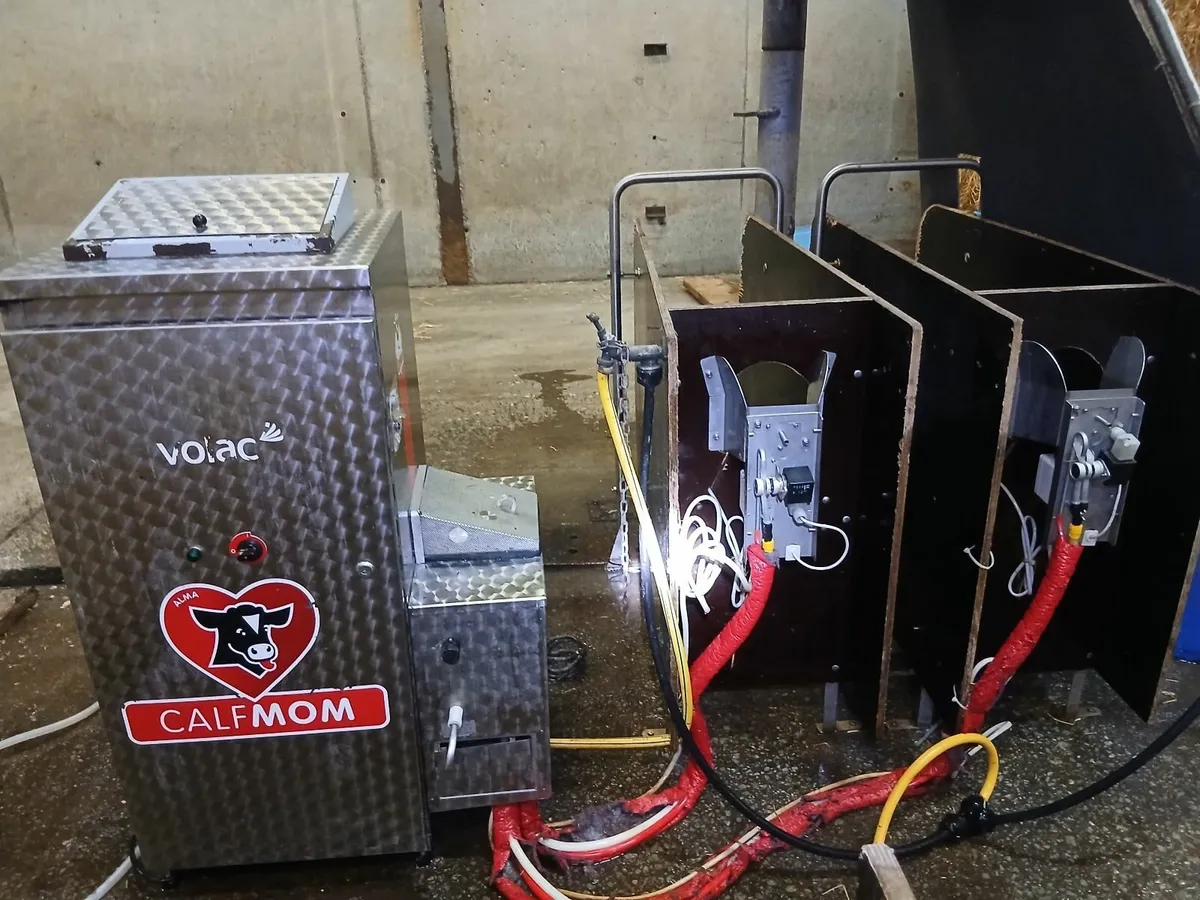 Calf feeder - Image 2