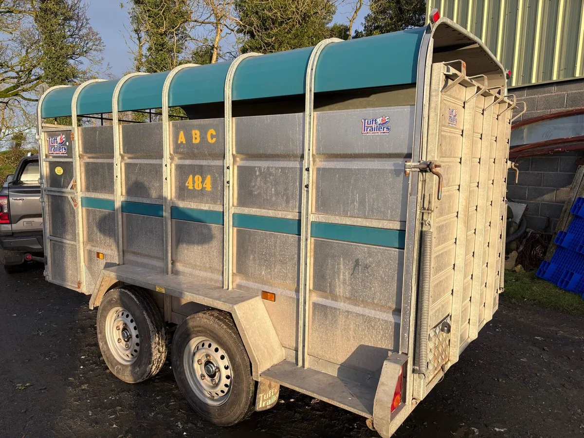 Cattle trailer - Image 2