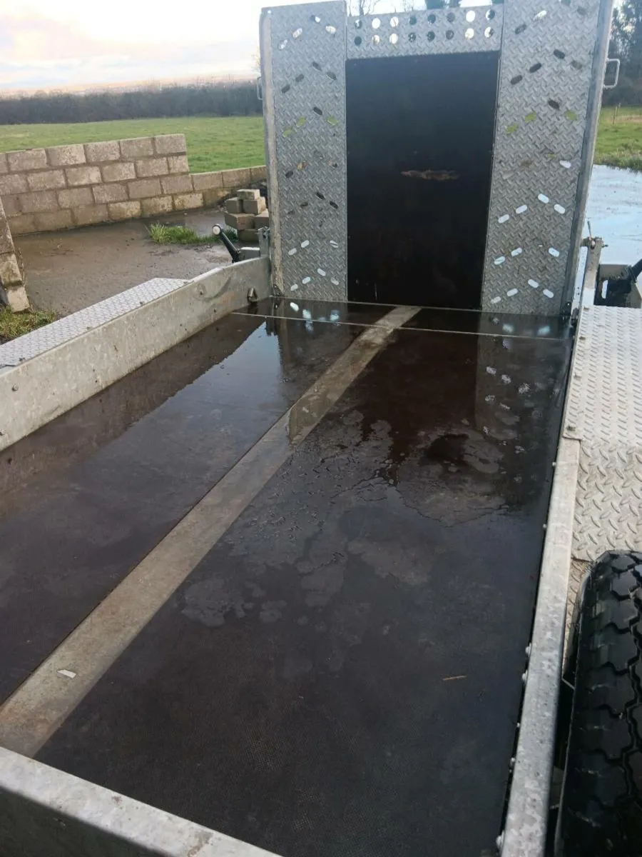 Indespension plant trailer 10ft x 5'6 - Image 2