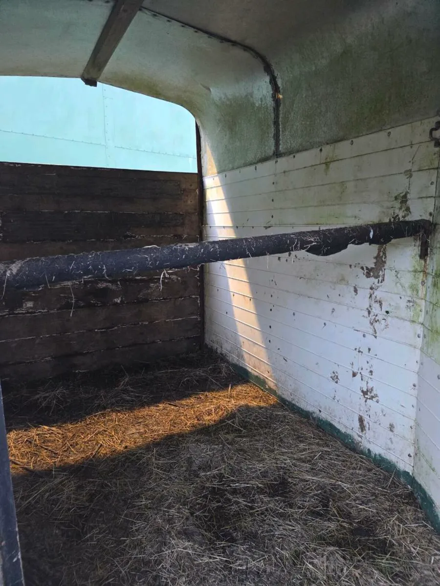 Horse box - Image 4