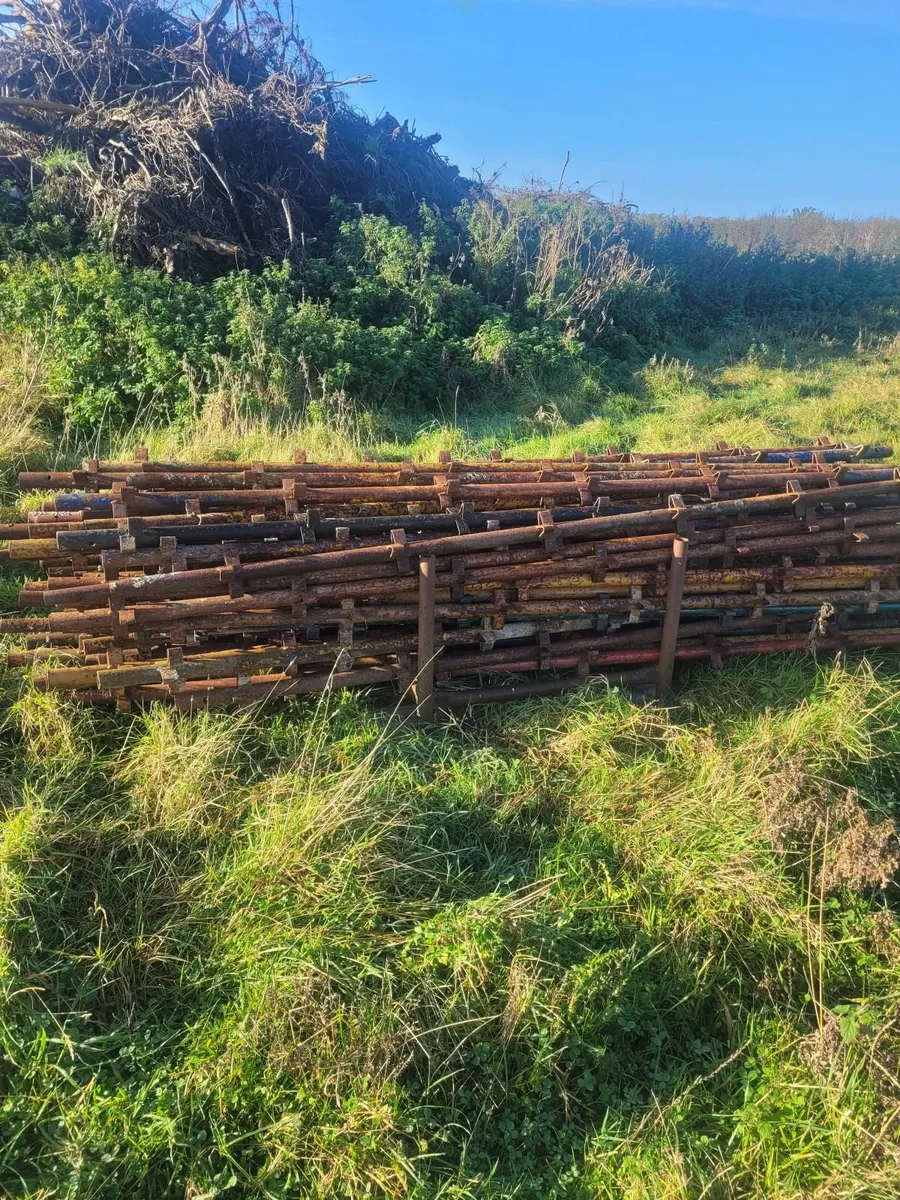 Scaffolding - Image 4