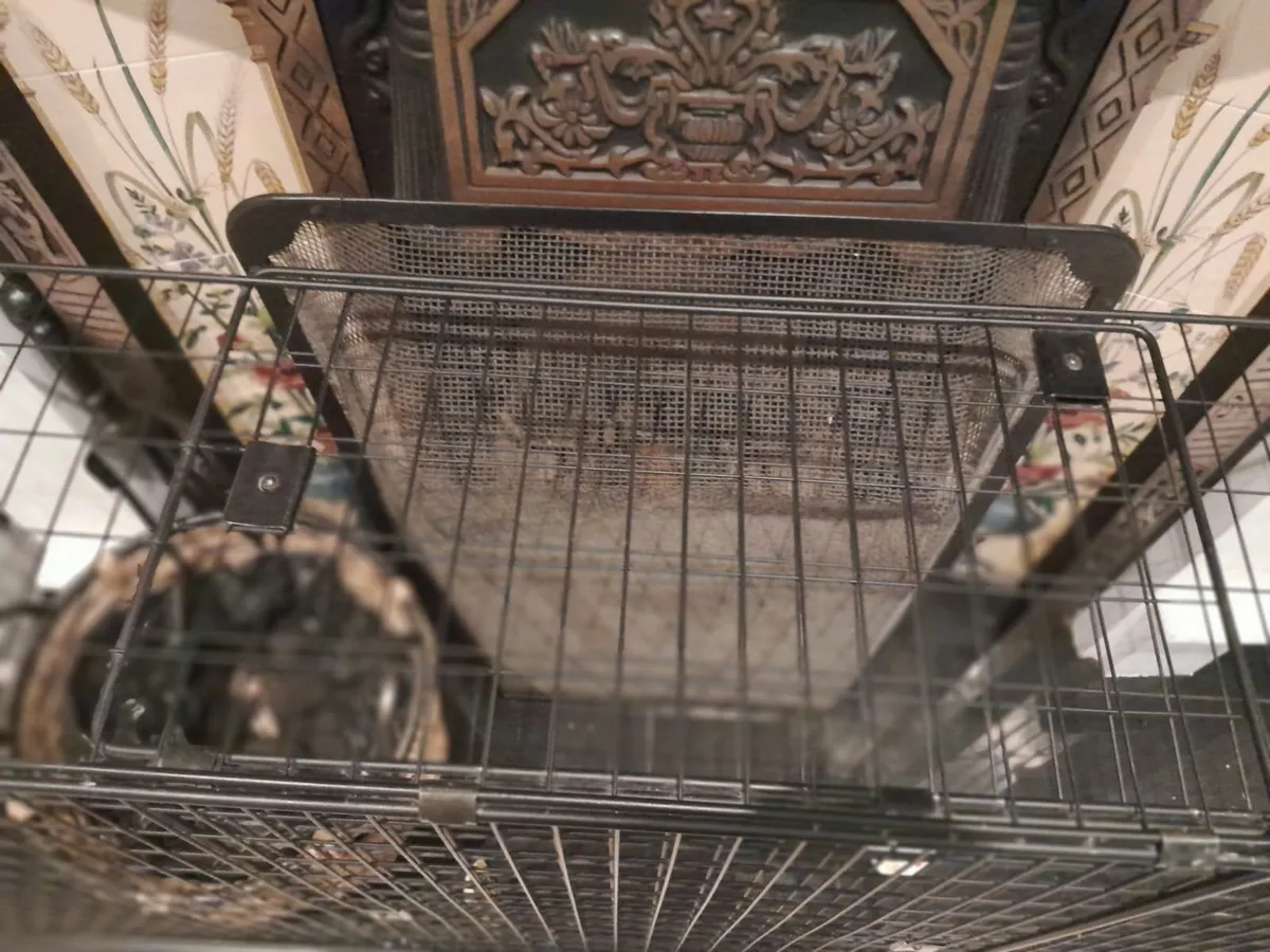 Babylo fireguard - Image 4