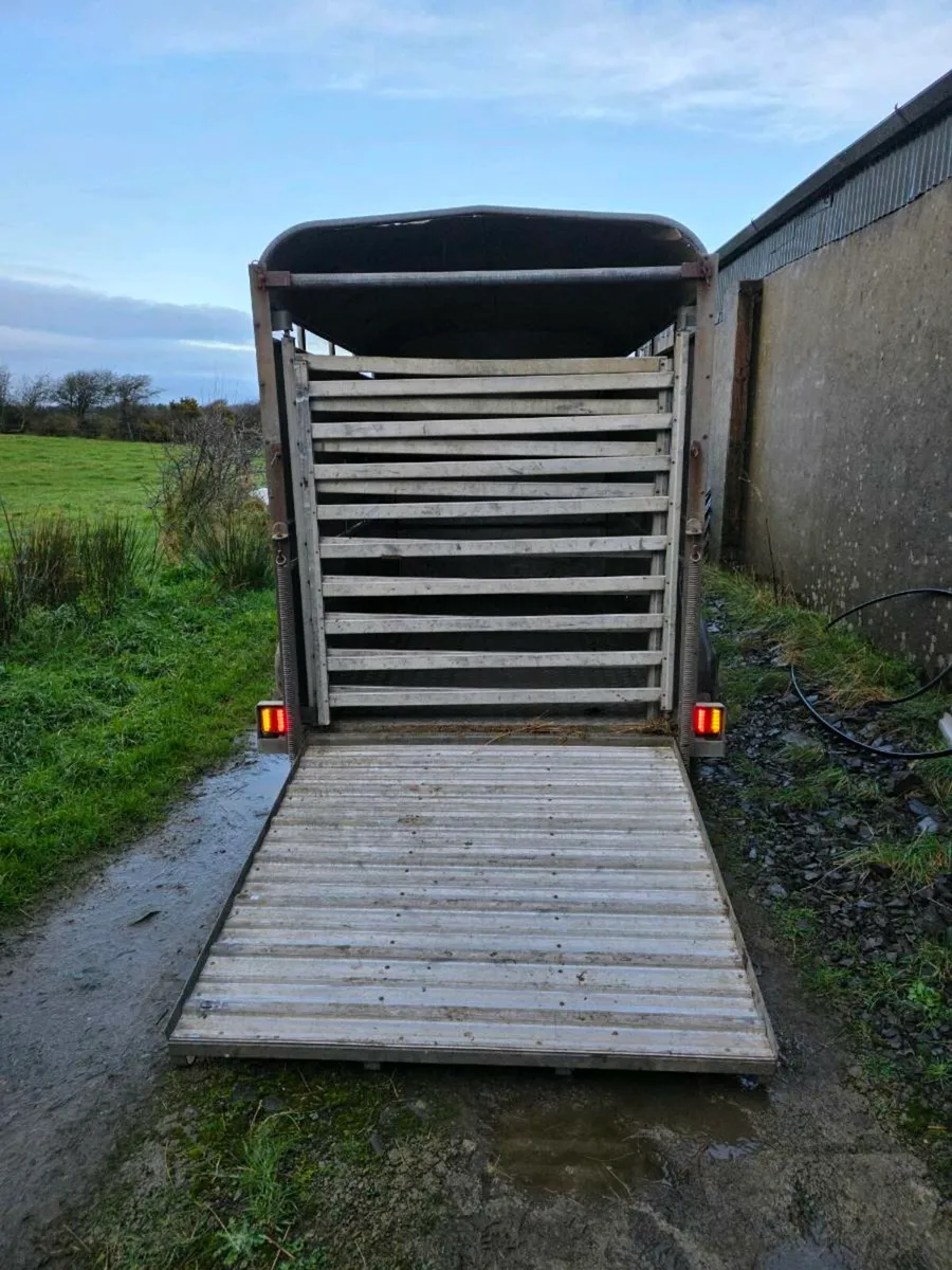 Cattle trailer - Image 2