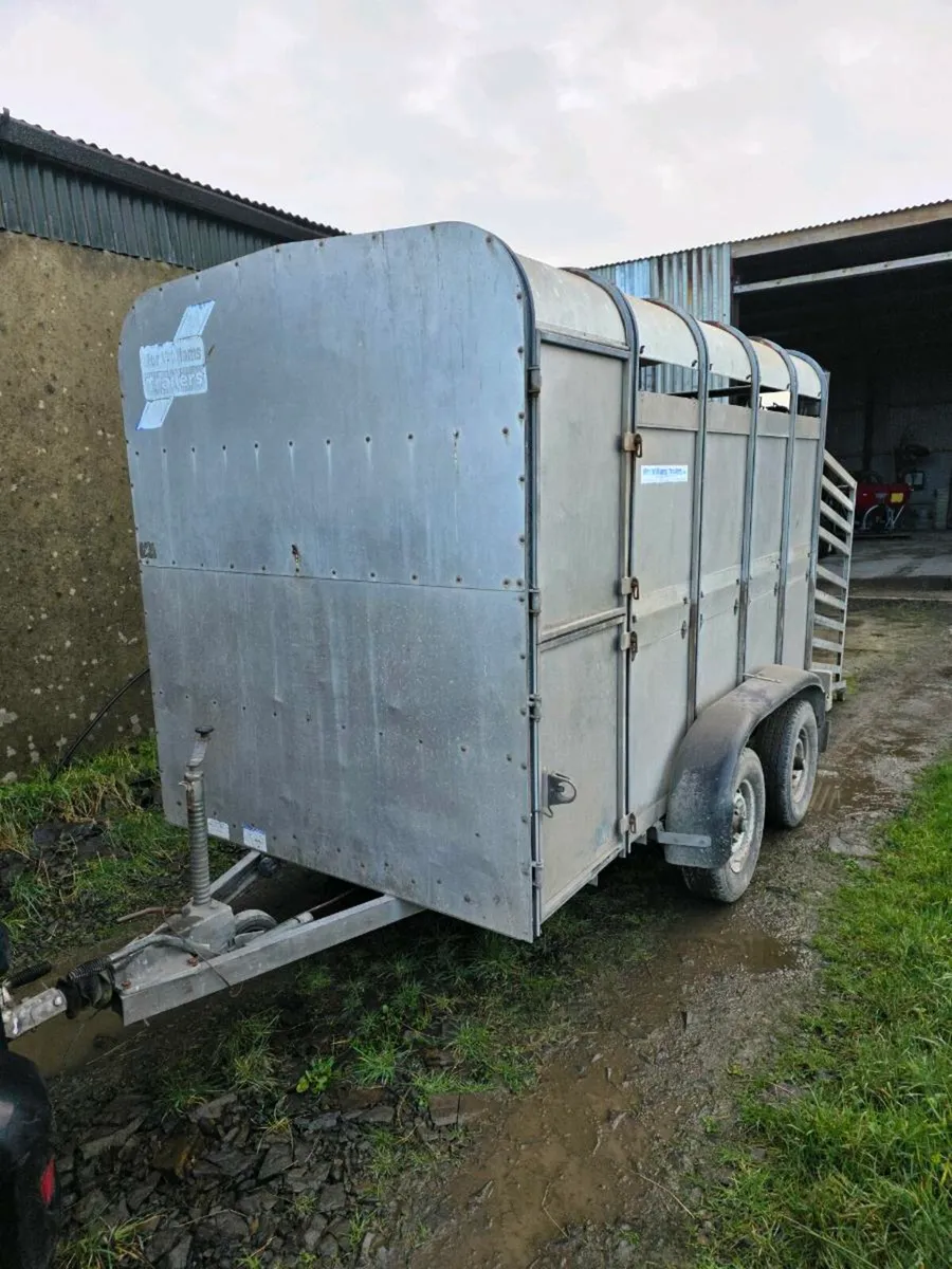 Cattle trailer - Image 1