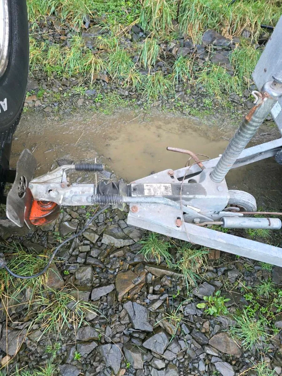 Cattle trailer - Image 4