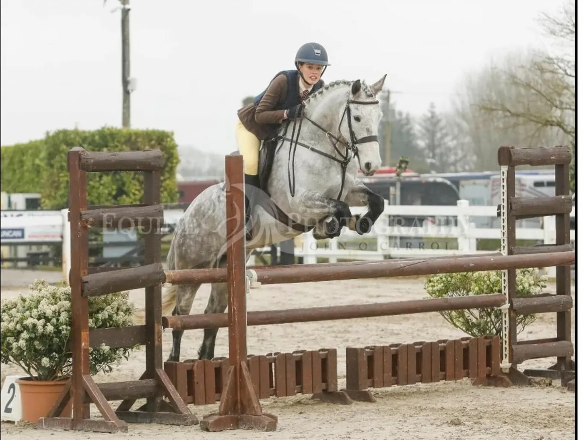 LOT 386 Clifden Saturday - Image 1