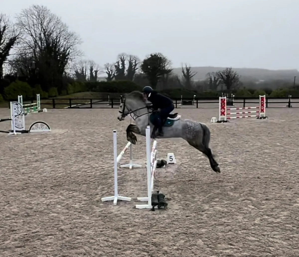 LOT 386 Clifden Saturday - Image 3