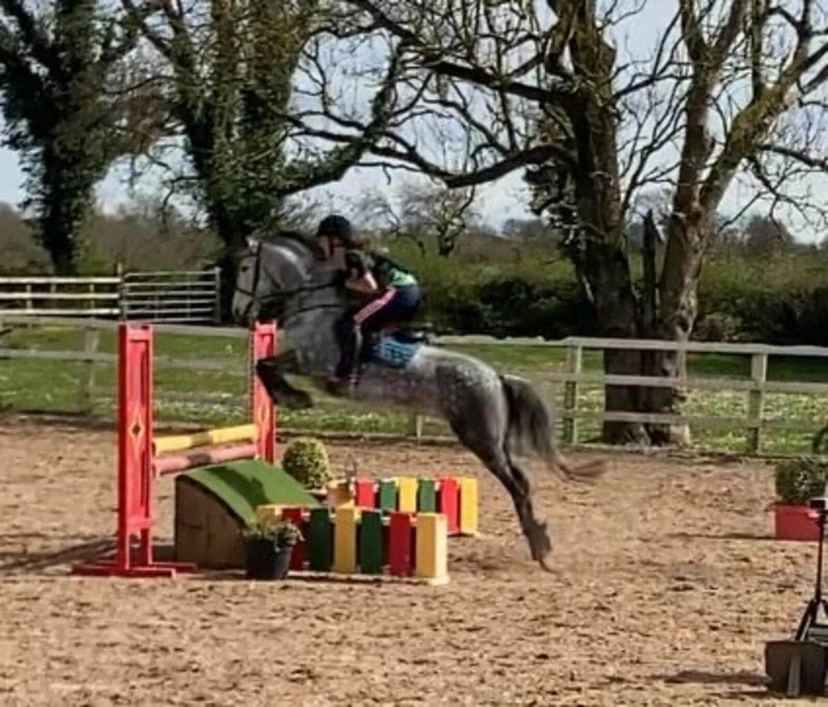 LOT 386 Clifden Saturday - Image 4