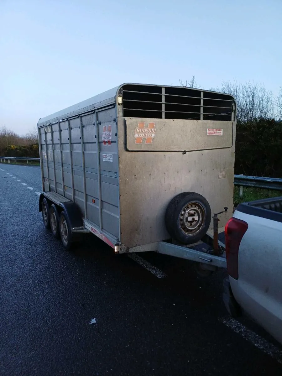 Hudson 14ft, triaxle cattle trailer (2016) - Image 1