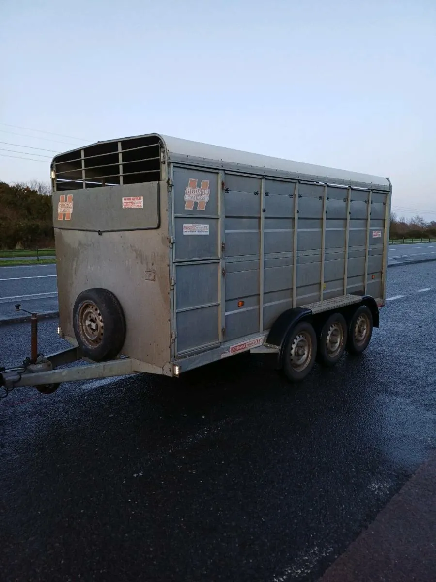 Hudson 14ft, triaxle cattle trailer (2016) - Image 2