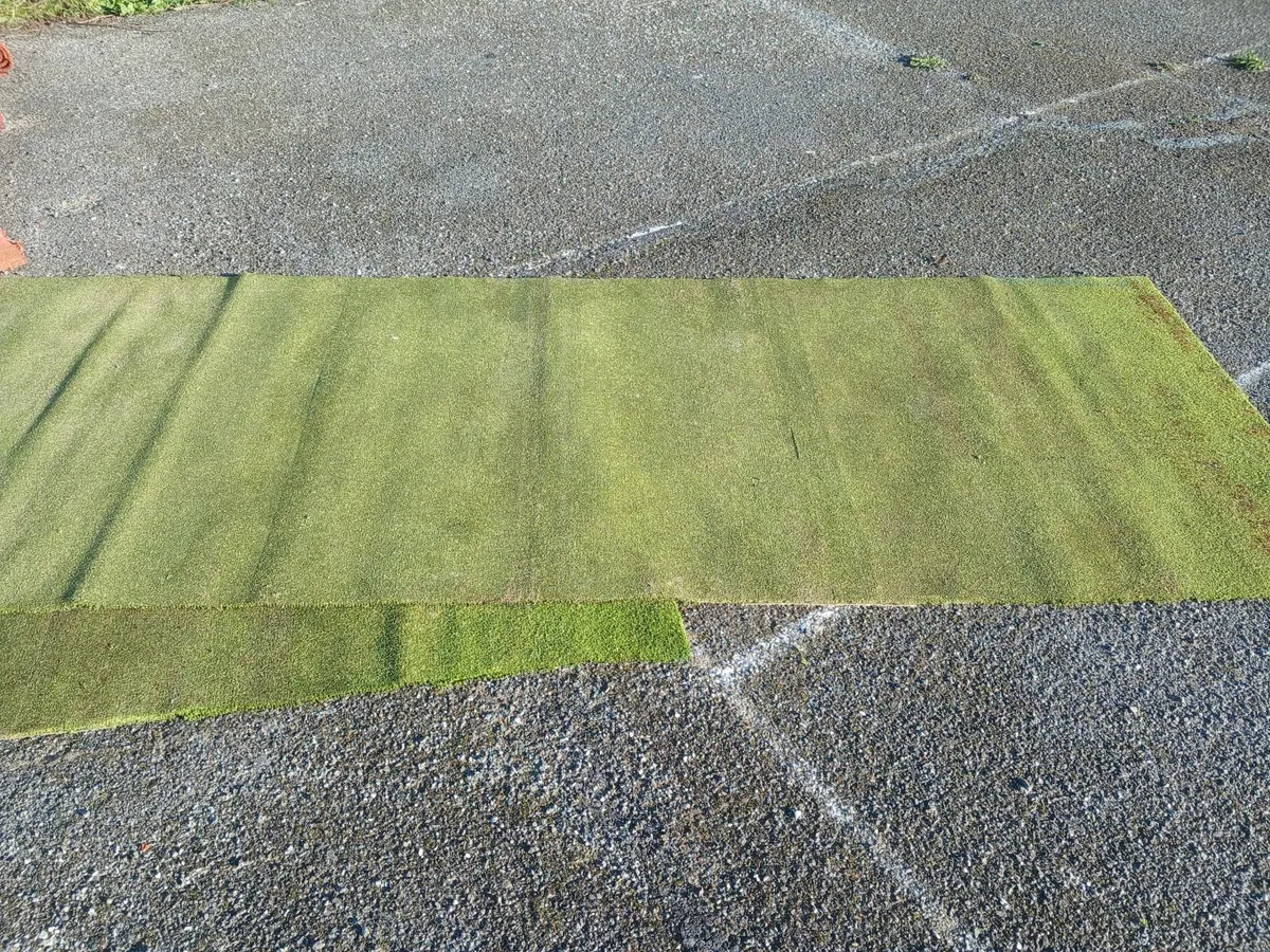 Artificial Type Grass - Image 3