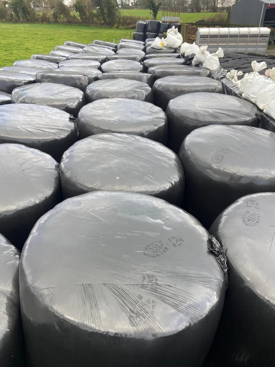 Bales of silage - Image 1