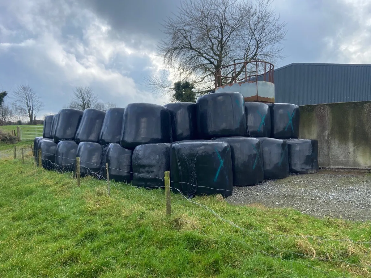 Bales of silage - Image 2