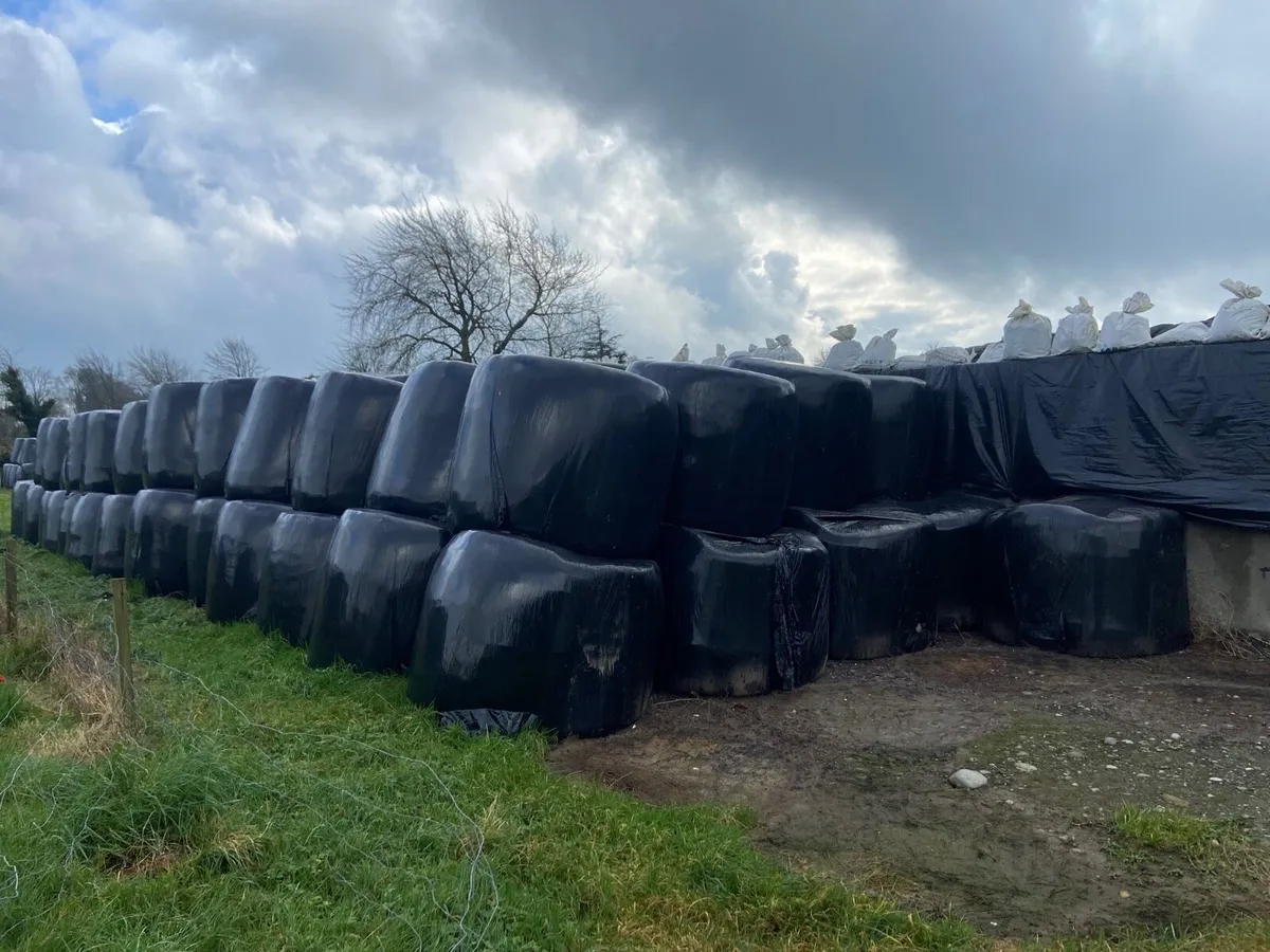 Bales of silage - Image 3