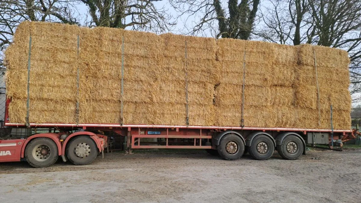 Barley Straw - Image 1