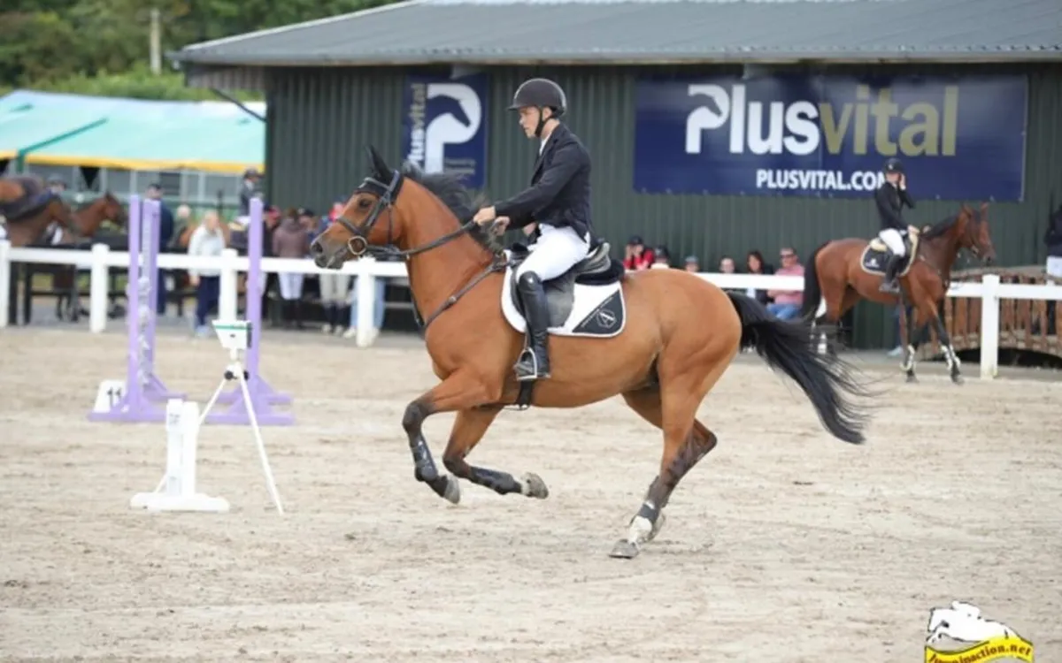 Livery Available 🏡🍂 - Image 2