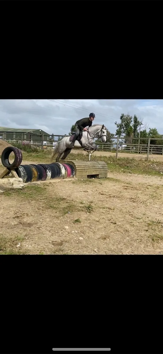 LOT 345 Clifden sales 21st Feb - Image 4