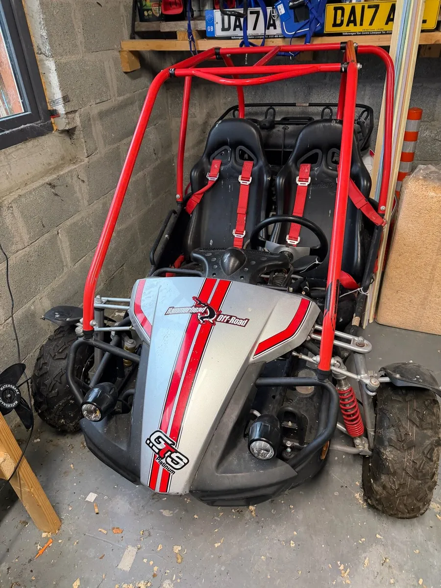 Hammerhead BUGGY - Image 2