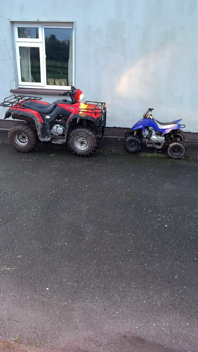 Farm quad and kids quad - Image 1