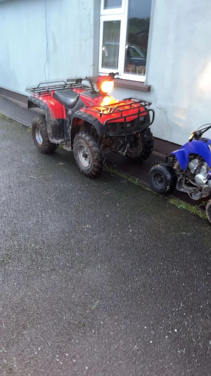 Farm quad and kids quad - Image 2