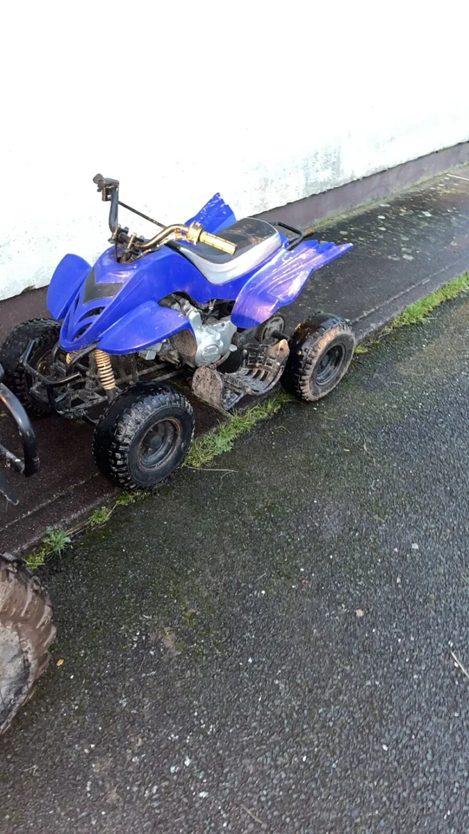 Farm quad and kids quad - Image 3