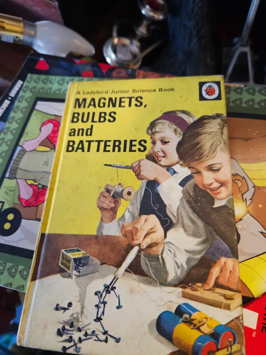 Vintage Lady Bird Magnets Bulbs and Batteries - Image 2