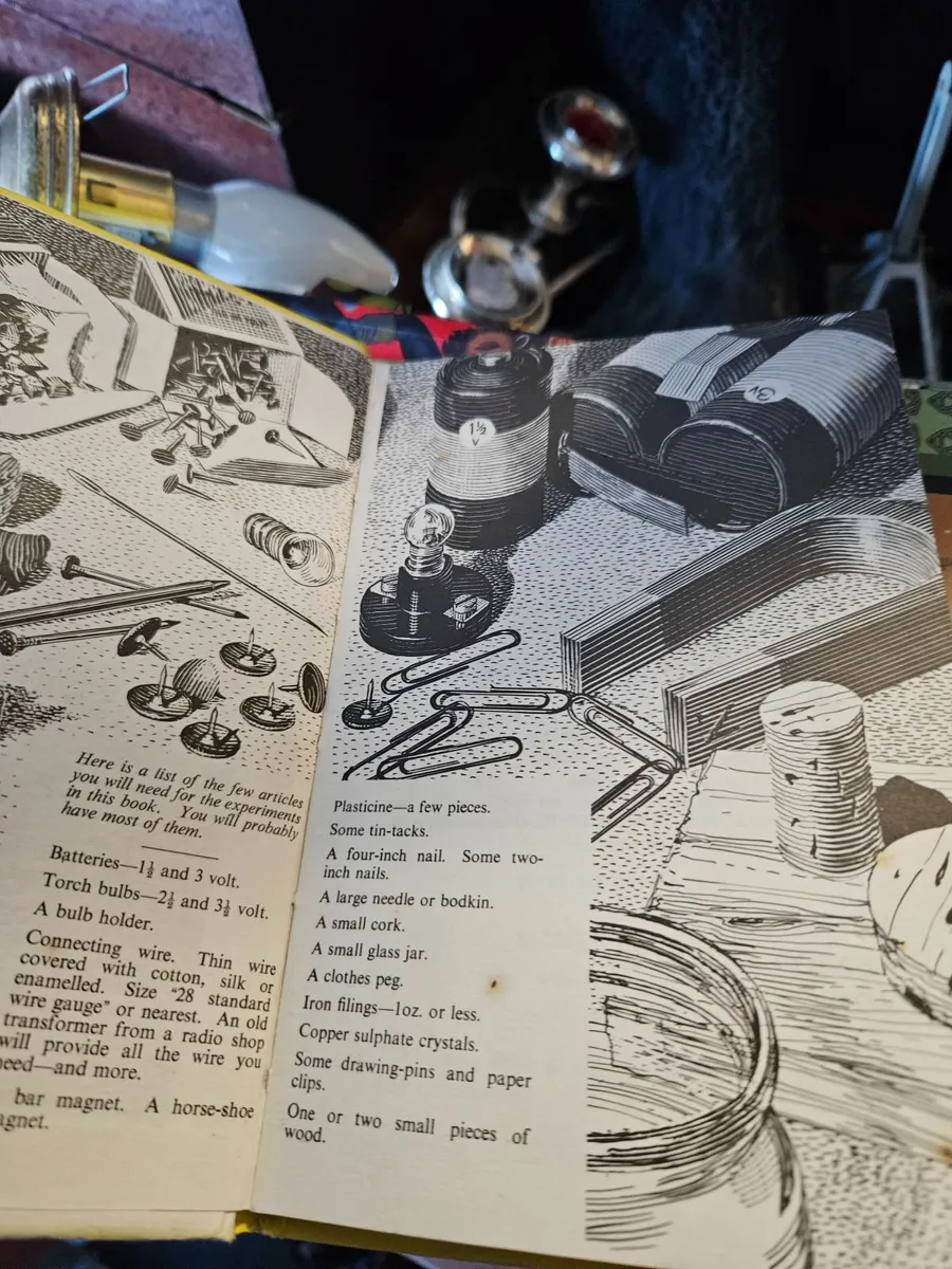 Vintage Lady Bird Magnets Bulbs and Batteries - Image 3