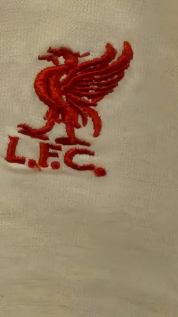 Liverpool Polo Shirt - Image 2