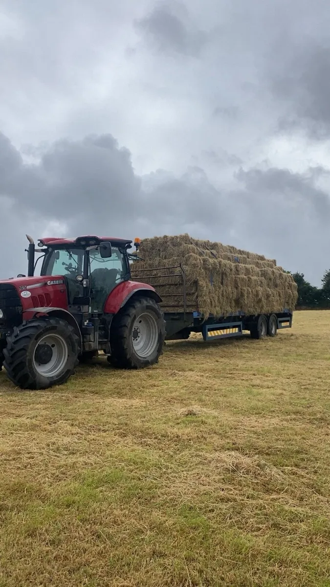 Hay - Image 3