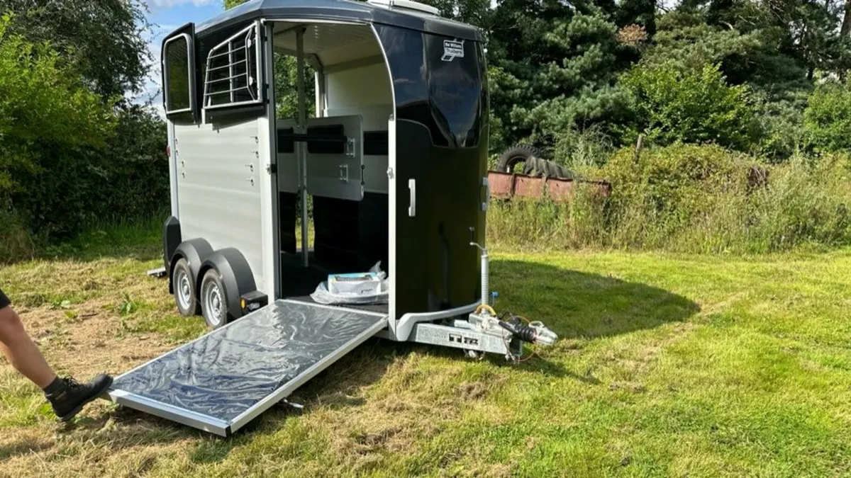 Ivor Williams HBX506 Horse Box - Image 3