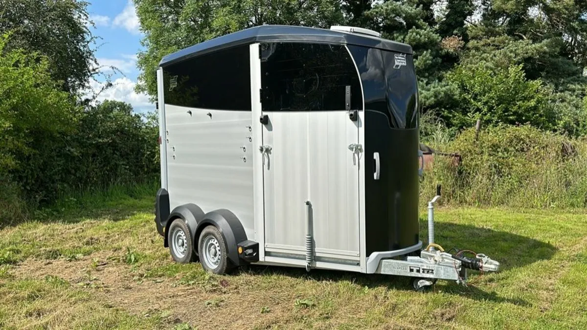 Ivor Williams HBX506 Horse Box - Image 2