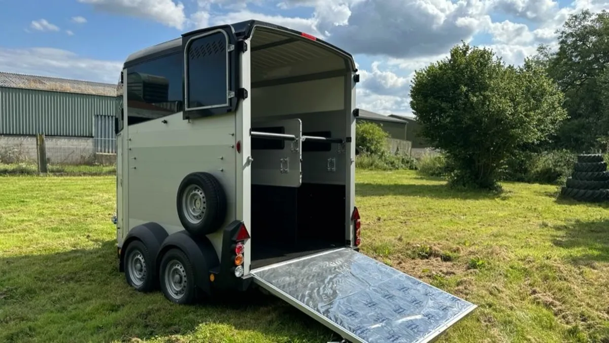 Ivor Williams HBX506 Horse Box - Image 4