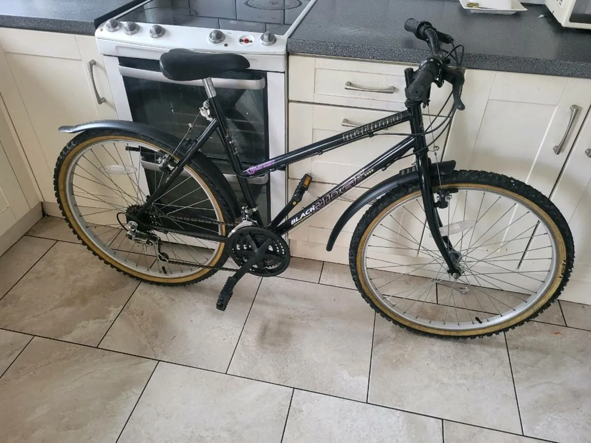 Ladies bike - Image 1