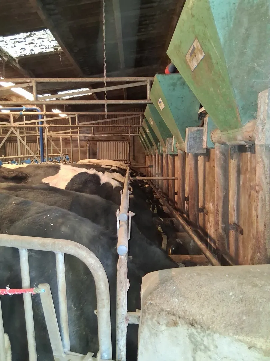 Dairymaster milking parlour feeders - Image 3