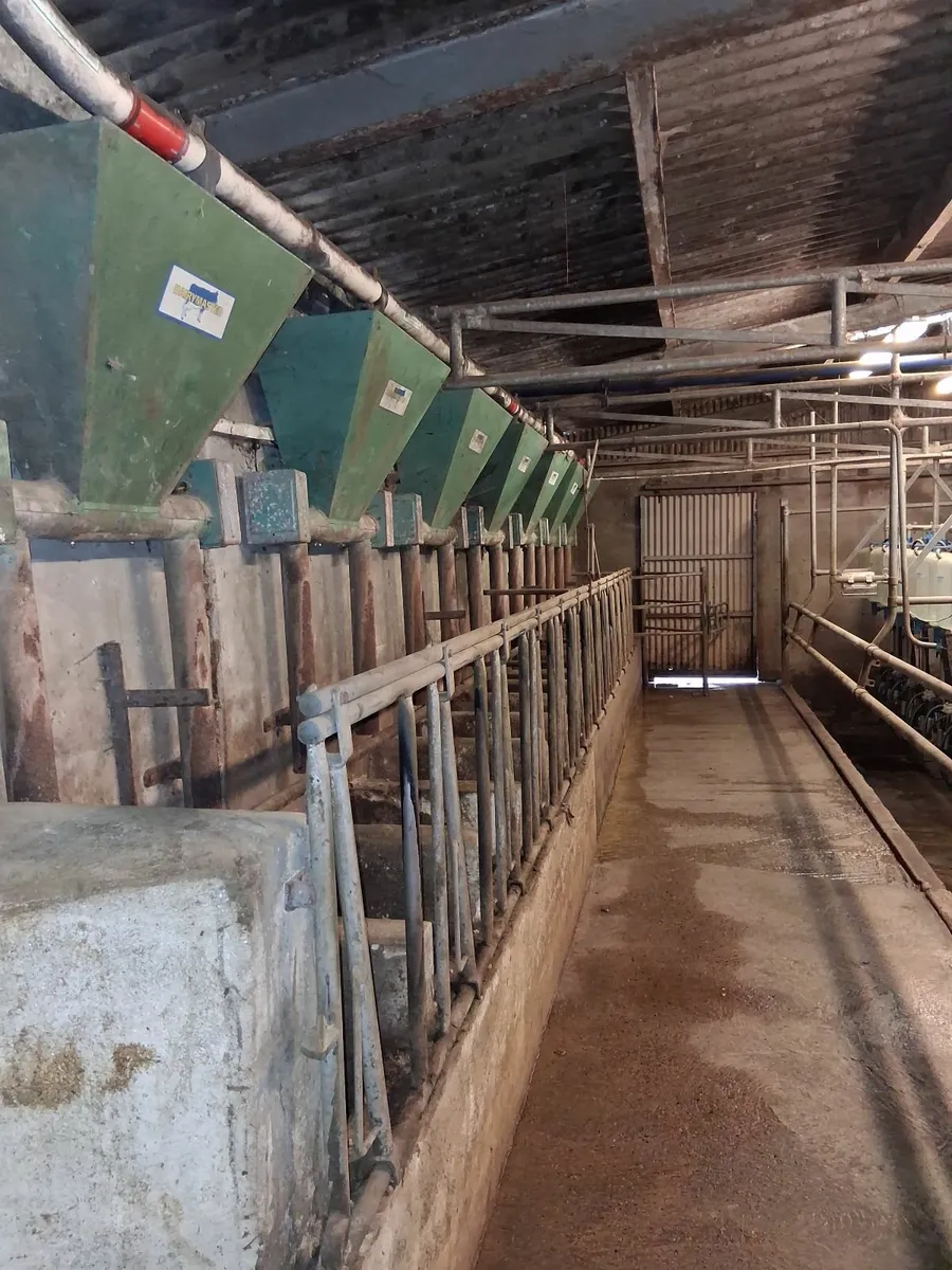 Dairymaster milking parlour feeders - Image 2