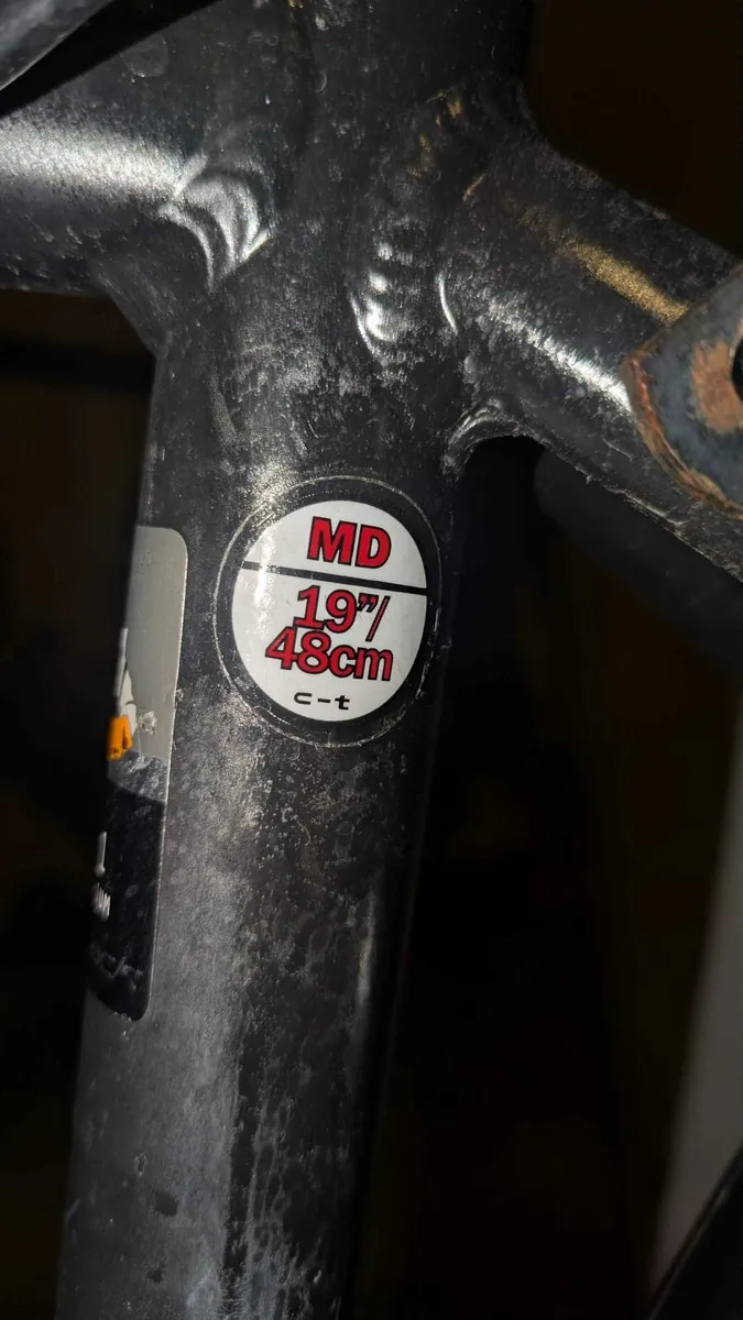 Ridgeback Speed - M Bicycle - Image 3