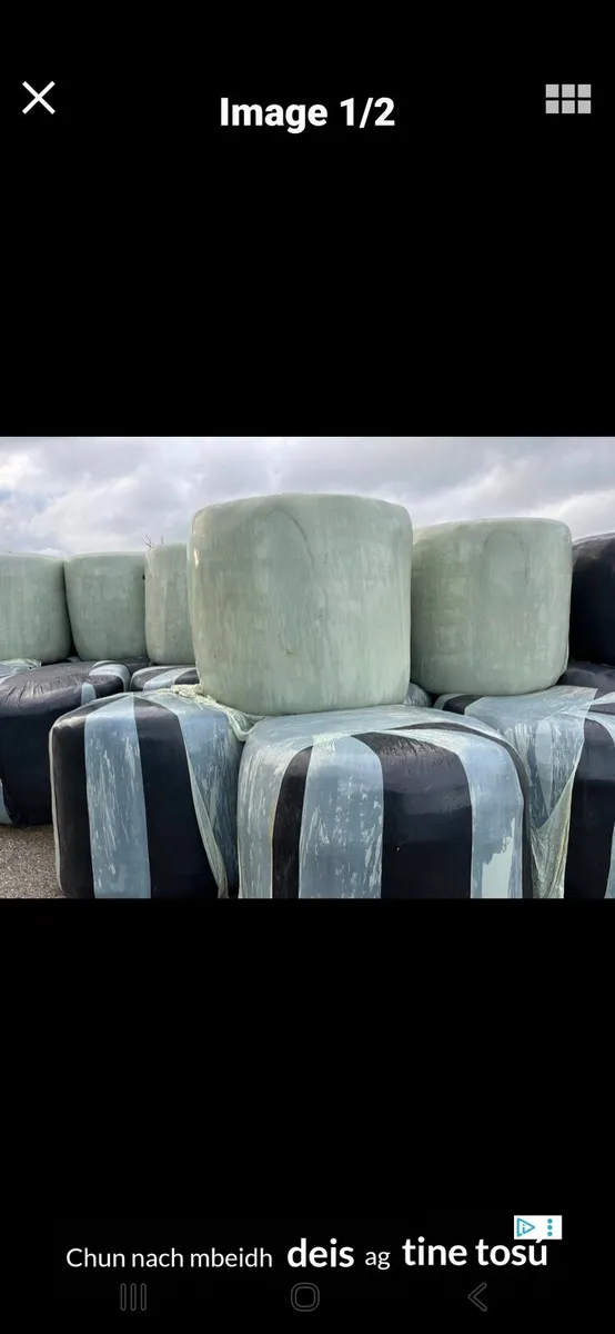 Bales of silage