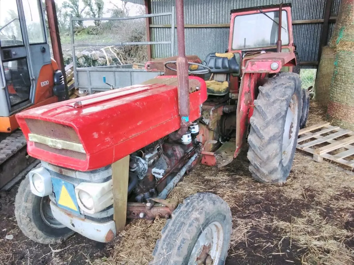Massey ferguson 135 with tax book,ferguson,dexta - Image 1