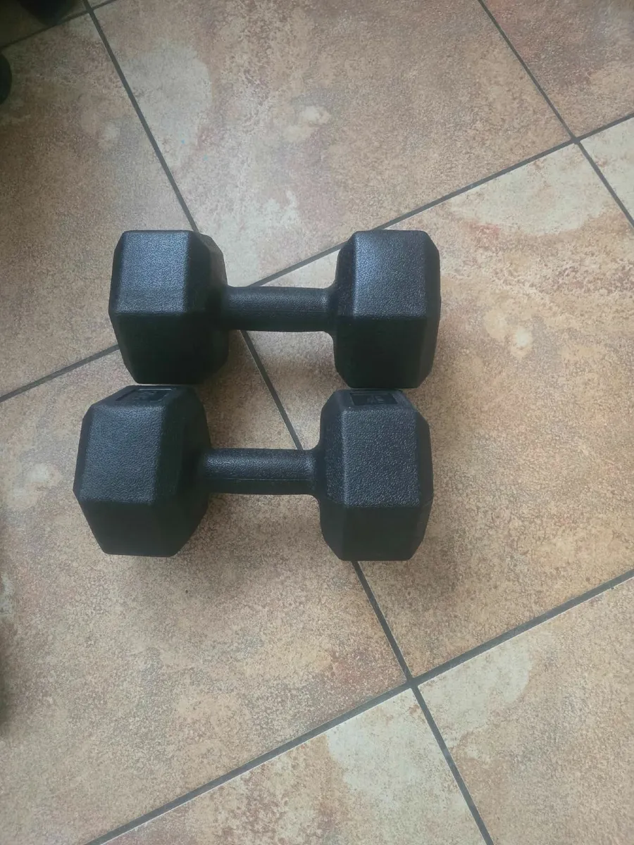 Dumbbells 2×10kg