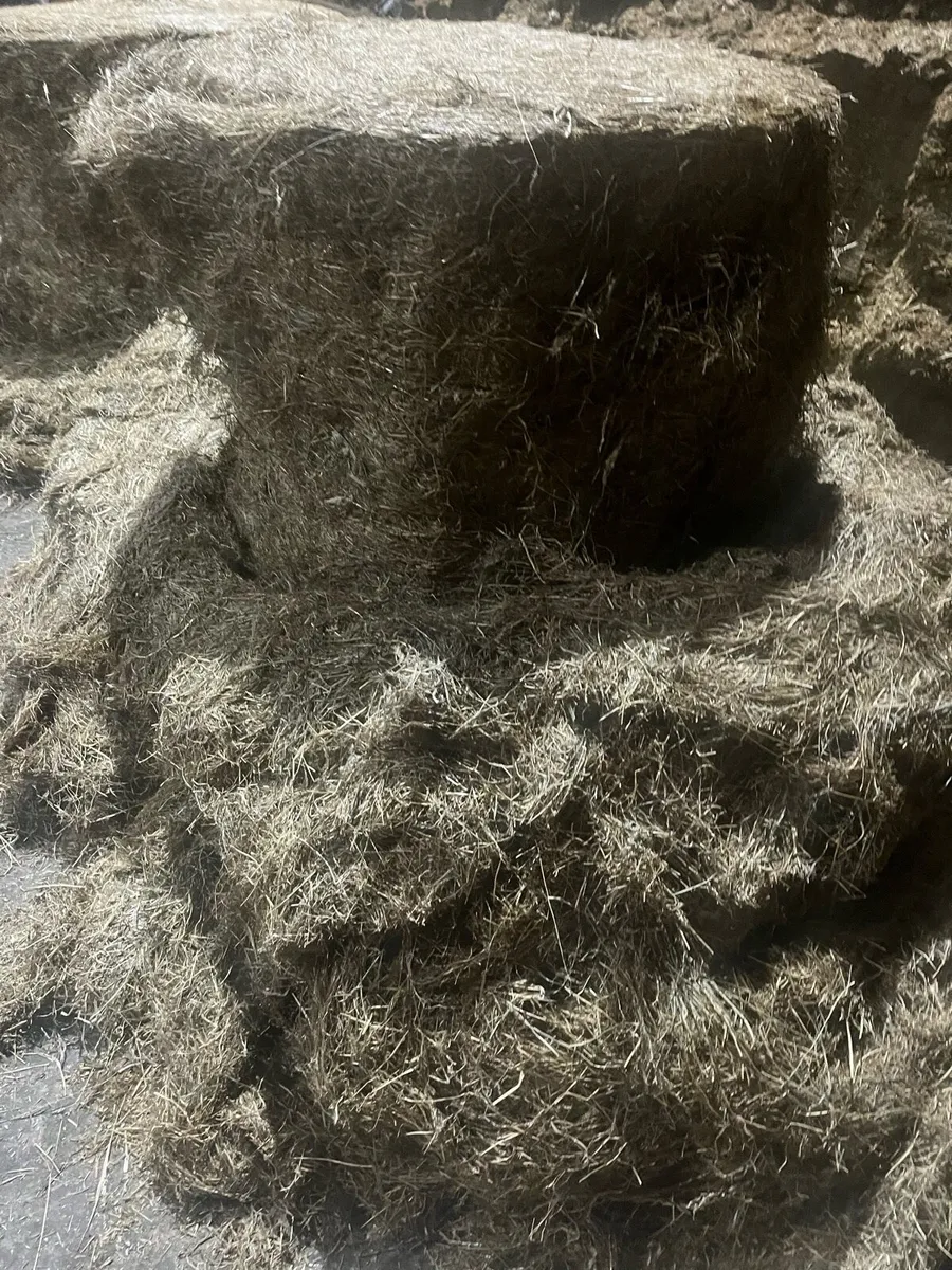 High Quality Haylage - Image 2