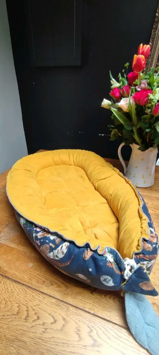 Maxi Cosi buggy and accessories - Image 4