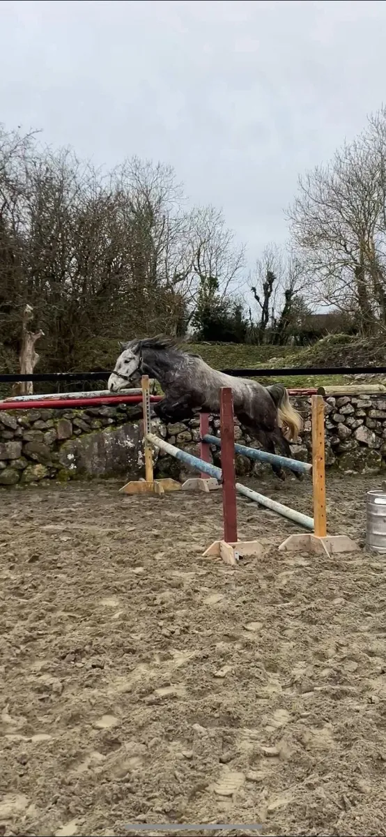 LOT 346 CLIFDEN Sales - Image 3