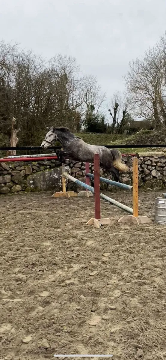 LOT 346 CLIFDEN Sales - Image 4